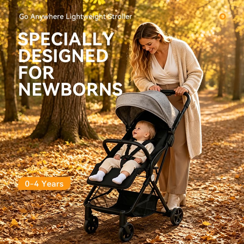 Newborn Customized Baby Portable Travel Baby Carriage 2 In 1 Stroller Baby Strollers With Reversible Handle Luxury Pram S-001